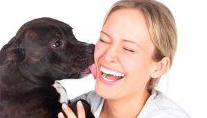 11-formas-do-cachorro-demonstrar-amor-pelo-dono